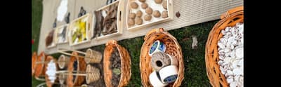 Nature Studio - Ages One and a Half to Five