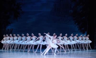 Swan Lake – The National Ballet of Russia